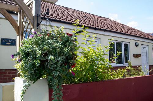 Hostal The Bay Horse Accommodation