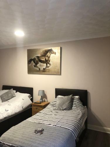 Hostal The Bay Horse Accommodation