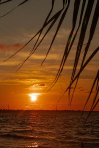 Apartamento Atardeceres By Olamar Living