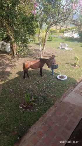 Agroturismo Finca Marat�n Alto