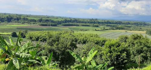 Agroturismo Finca Marat�n Alto