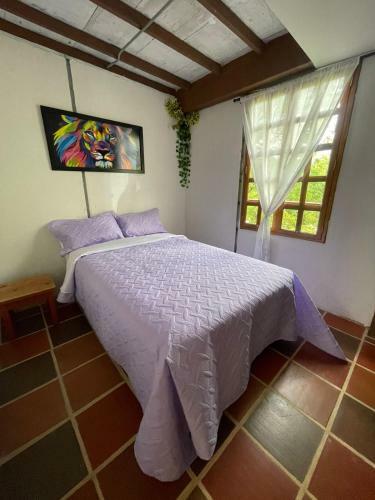 Hostal Xplora Hostel