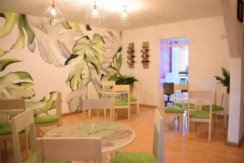 Hostal Arbol Cafe Caicedonia