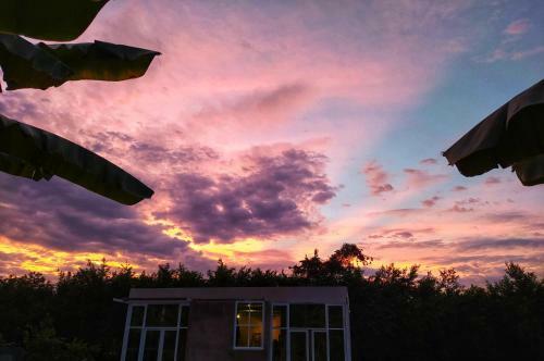 Emun� Campestre