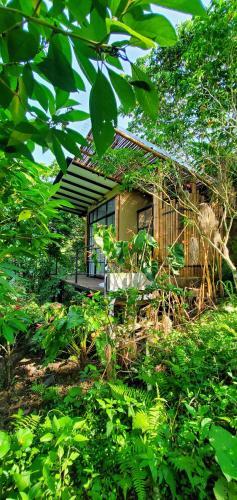 Ecohotel Alma