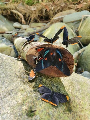 Hotel Pradera Ecoliving