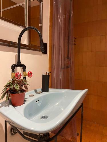 Bed & Breakfast La Bonita Guesthouse