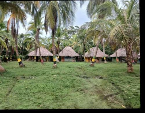 Agroturismo Caba�as Tours Donde El Paisa
