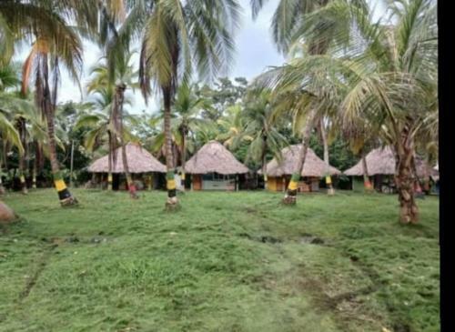 Agroturismo Caba�as Tours Donde El Paisa