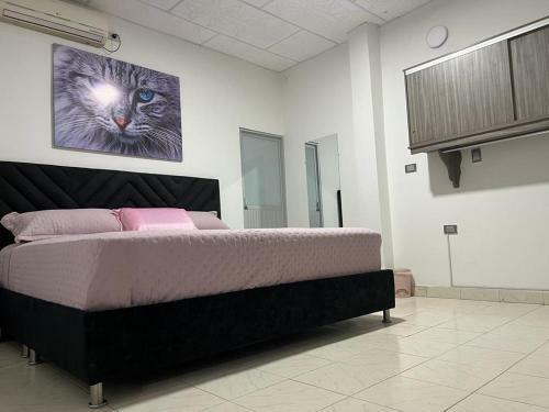 Hostal Cool House 24horas