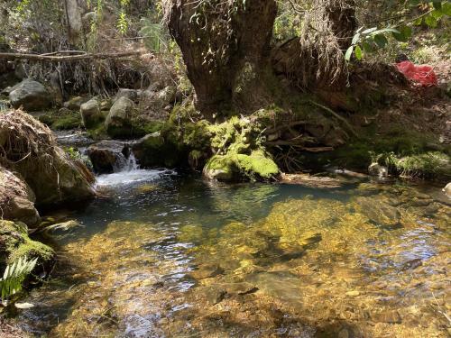 Hotel La Roca Glamping