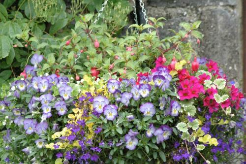 Agroturismo Lough Bishop House Farm Stay