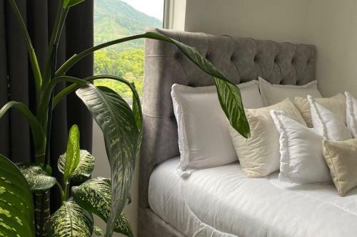 Apartamento Buscas Hospedarte En El Quind�o