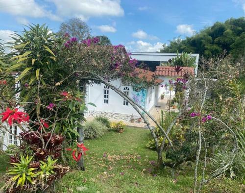Apartamento Bird Paradise