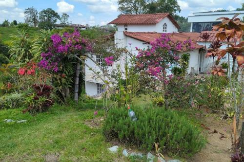 Apartamento Bird Paradise