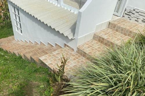 Apartamento Bird Paradise