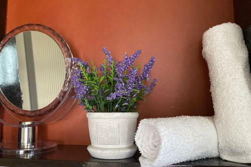 Apartamento Bird Paradise