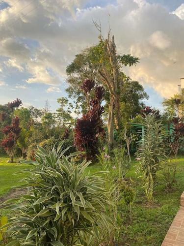 Apartamento Bird Paradise