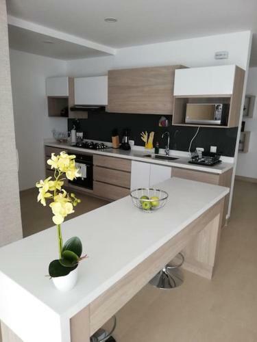 Amplio Apartamento Con Terrazas Y Vista �nica Cafetera
