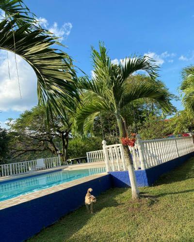 Finca Villa Sof�a Campestre Con Piscina