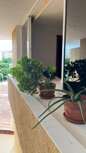 Apartamento Ilurofa
