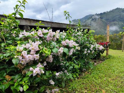 Hotel Rainbow Glamping