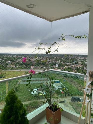 Complete Apartment In Barranquilla