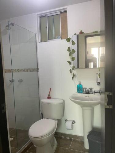 Apartamento Apto C�modo, Exc. Ubicaci�n. 74