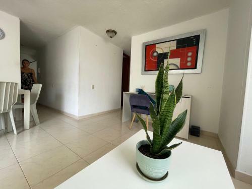 Apartamento C�modo Paramento Zona Norte