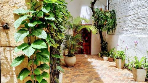 Bed & Breakfast Hotel Casa Sab - San Fernando