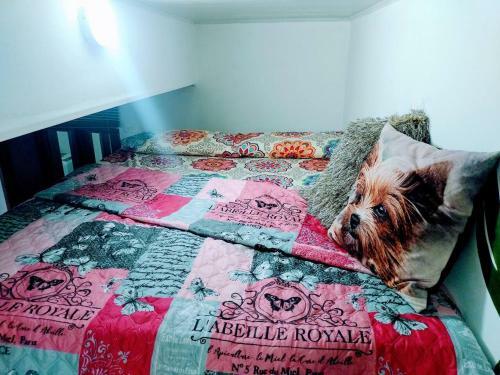 Apartamento C�ntrico Tur�stico Cali