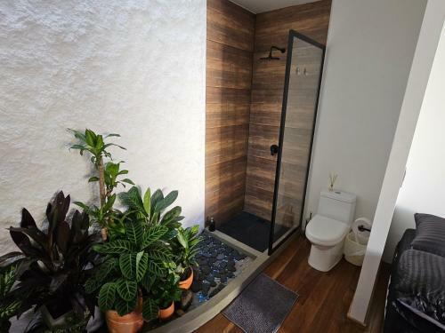 Hostal Casa Alba