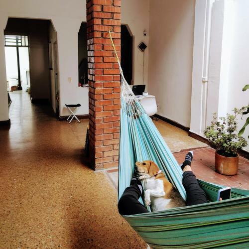 Casa Del Perro Coliving 2