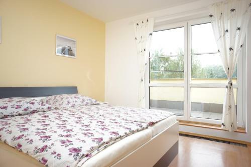 Apartm�n Velk� Losiny