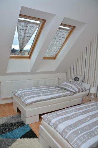 Apartm�n Velk� Losiny