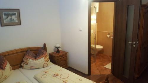Hostal Penzion Slezsky Dum
