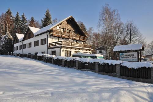 Hostal Penzion Slezsky Dum
