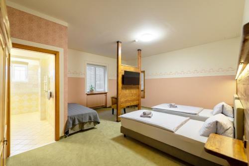 Hotel U Simla