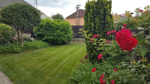 Hostal Villa Roz�rka