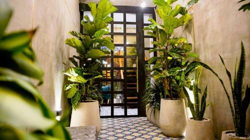 203 Aparta Studio Boutique En Mansi�n Siglo XIX