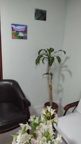 Apartamento Con Parqueadero