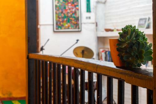 Mico Loco Casa Hostal