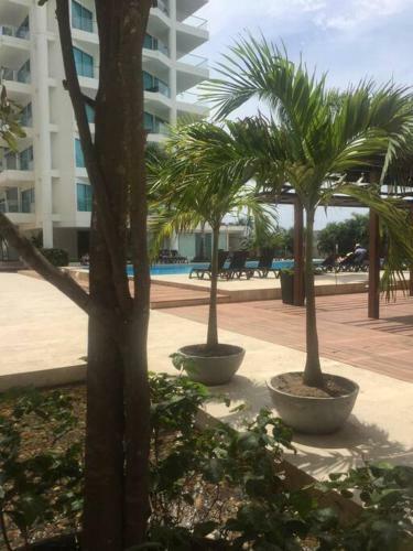 !oferta Hermoso Apartamento Para 8 Personas�