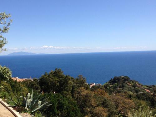 Apartamento Appartement Cardo