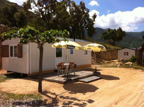 Mobile Home A Saliva