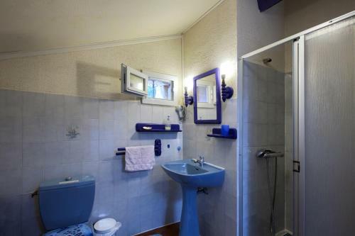 Bed & Breakfast Noailles