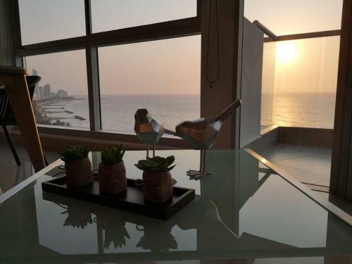Edificio Murano Elite Apartamento 3 Habitaciones- Hermosa Vista Al Mar
