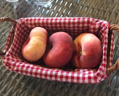 B&B Tour De Saint Anne