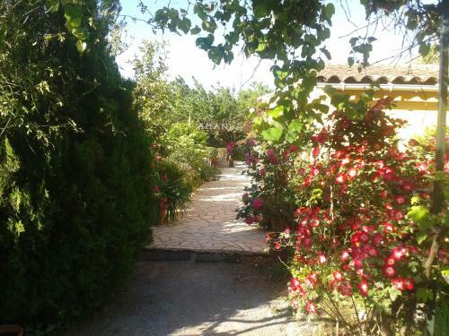 Bed & Breakfast Aux Amandiers