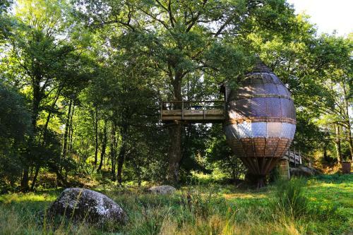 Terragora Lodges